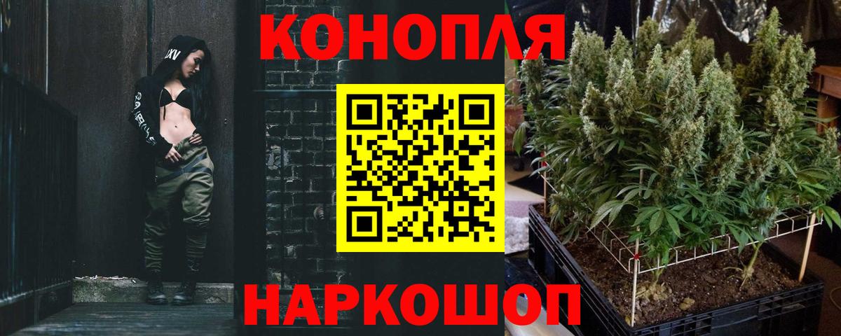 Марихуана сатива  Шишки марихуана планчик  Дубна  Вход с VPN  Марихуана White Widow 